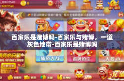 百家乐是赌博吗-百家乐与赌博，一道灰色地带-百家乐是赌博吗