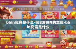 bbin究竟是什么-探究BBIN的本质-bbin究竟是什么