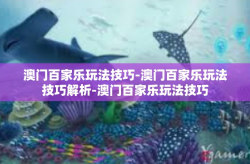 澳门百家乐玩法技巧-澳门百家乐玩法技巧解析-澳门百家乐玩法技巧