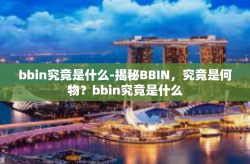 bbin究竟是什么-揭秘BBIN，究竟是何物？bbin究竟是什么