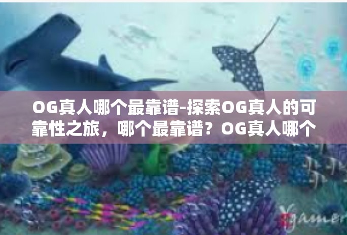 OG真人哪个最靠谱-探索OG真人的可靠性之旅，哪个最靠谱？OG真人哪个最靠谱